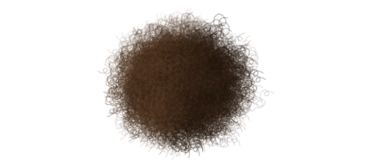 Digital painting of a realistic brown wolf created using Fur Procreate Brush, showcasing detailed and natural-looking fur texture with varying shades of brown and black, highlighting the brush's capability to mimic real animal fur