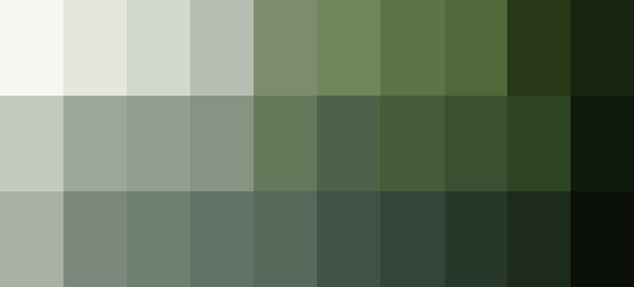 Color Palette for Procreate: Forest #2 - Free Download