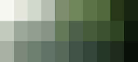 Color Palette for Procreate: Forest #2 - Free Download